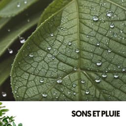 Sons et Pluie : Mélodies du Ciel sur Terre - Relaxing Guru