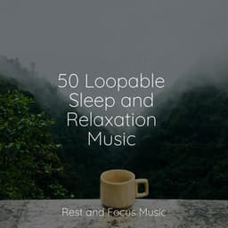 50 Loopable Sleep and Relaxation Music - Relaxamento