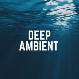 Deep Ambient - Study With Us