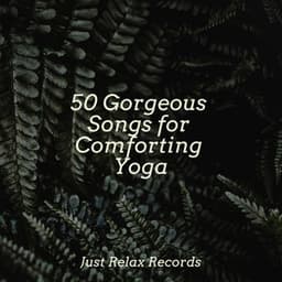 50 Gorgeous Songs for Comforting Yoga - Rest & Relax Nature Sounds Artists