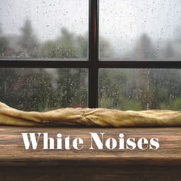 White Noises – Wind And Rainstorm For Studying - Noise Specialist