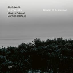 Garden of Expression - Joe Lovano