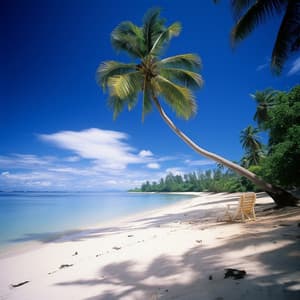 Oceanic Tranquility: Massage with Calm Ripples - Full Presence