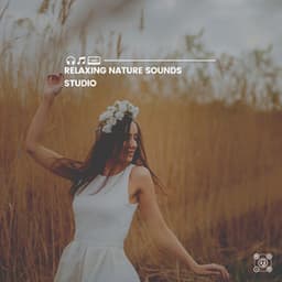 Relaxing Nature Sounds Studio - Sounds of the Forest