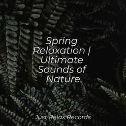 Spring Relaxation | Ultimate Sounds of Nature - Mantra para Dormir