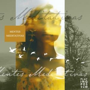 Mentes Meditativas - Playing Possum