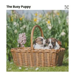 The Busy Puppy - Sleeping Music For Dogs