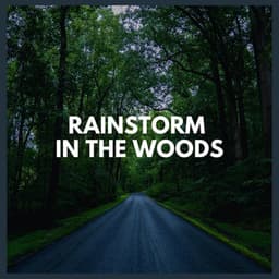 Rainstorm in the Woods - Thunderstorm Global Project