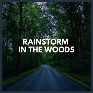 Rainstorm in the Woods - Thunderstorm Global Project
