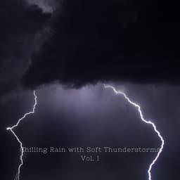 Chilling Rain with Soft Thunderstorms Vol. 1 - Sleep Sounds