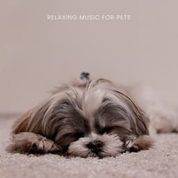 Relaxing Music For Pets - Relaxing Piano For Pets