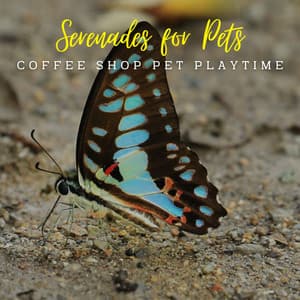 Paws & Jazz Grooves: Café Lounge Serenades for Pets - Ultimate Deep Pet Relaxation