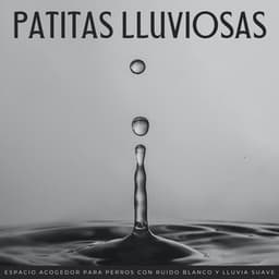 Patitas Lluviosas: Espacio Acogedor Para Perros Con Ruido Blanco Y Lluvia Suave - Ruido blanco agradable