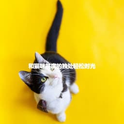 和猫咪共度的独处轻松时光 - Musica del lobby del Hotel