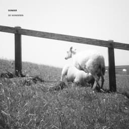 De Wonderen - Donder