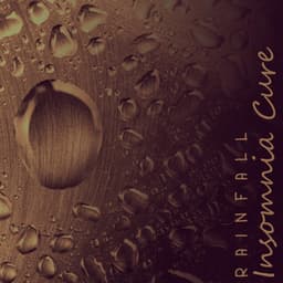 Rainfall Insomnia Cure - Rain Music!
