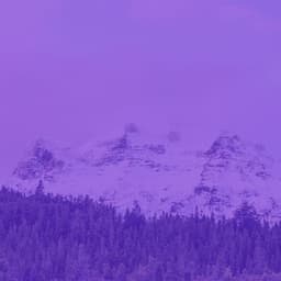 Backdrop for Storytelling - Musica per la Colazione Sala