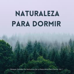 Bosque: Sonidos De Nocturnos De La Naturaleza Para Dormir Vol. 1 - Musica del bosque