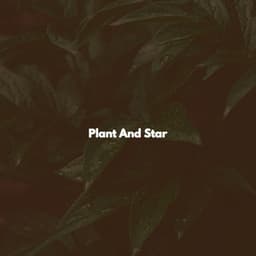 Plant And Star - Co-Working Music Playlist