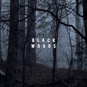 Black Woods - Nature Sounds