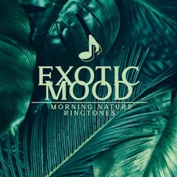Exotic Mood: Morning Nature Ringtones - Jasmine Soft