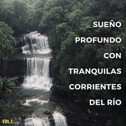 Sueño Profundo Con Tranquilas Corrientes Del Río Vol. 1 - Sonidos de agua para dormir
