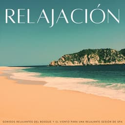 Relajación: Sonidos Relajantes Del Bosque Y El Viento Para Una Relajante Sesión De Spa - Actores de la Naturaleza