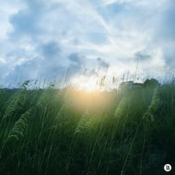 The wind announcing a new beginning - BGM Teacher