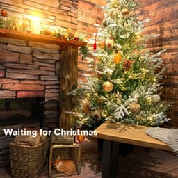 Waiting for Christmas - Christmas 2022