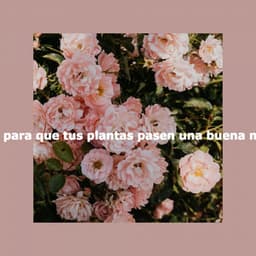 Música para que tus plantas pasen una buena mañana - Gentle Morning Music