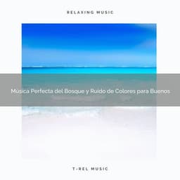 Música Perfecta del Bosque y Ruido de Colores para Buenos - Ruido Blanco Para Estudiar