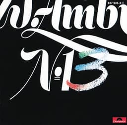 Nr.13 - Wolfgang Ambros