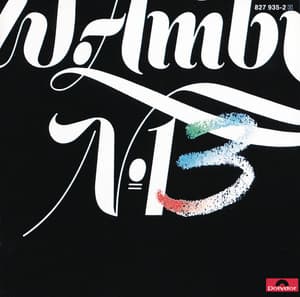 Nr.13 - Wolfgang Ambros