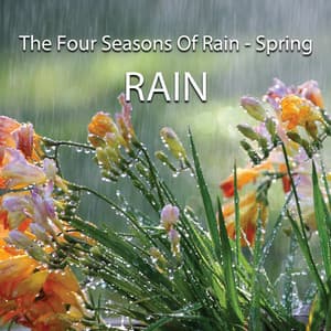 The Four Seasons Of Rain - Spring - Edgar Withers