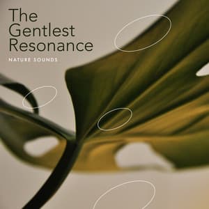 The Gentlest Resonance - Nature Sounds