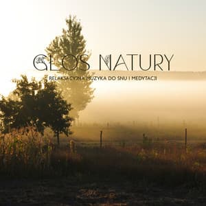 Głos Natury: Relaksacyjna Muzyka do Snu i Medytacji, Kojące Dźwięki Natury, Głęboki Relaks - Strefa Relaksacyjnej Muzyki