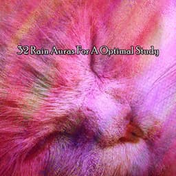 32 Rain Auras For A Optimal Study - ASMR HD