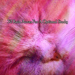 32 Rain Auras For A Optimal Study - ASMR HD