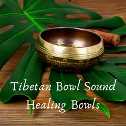 Tibetan Bowl Sound Healing - Tibetan Eclipse