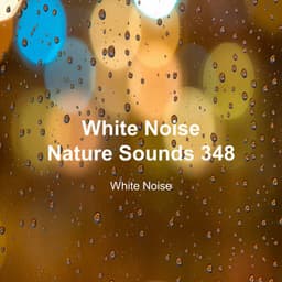 White Noise 348 - White Noise