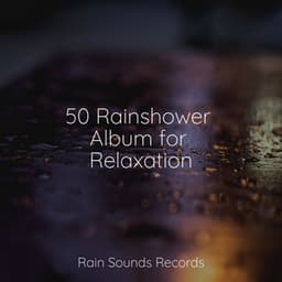 50 Rainshower Album for Relaxation - Rain Sound Studio