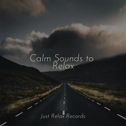 Calm Sounds to Relax - Musica Reiki