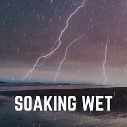 Soaking Wet - Thunderstorms HD
