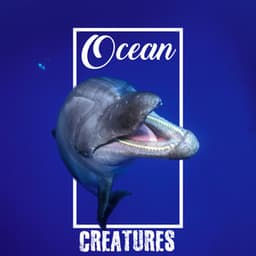 Ocean Creatures - Keith Path
