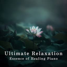 Ultimate Relaxation – Essence of Healing Piano - Relaxing Piano Crew
