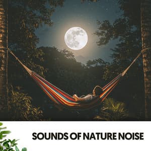 Sounds of Nature Noise: Melodies from the Sky - Relajacion