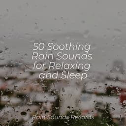 50 Soothing Rain Sounds for Relaxing and Sleep - Relaxing Spa Music