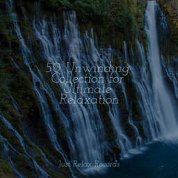 50 Unwinding Collection for Ultimate Relaxation - Best Relaxing SPA Music