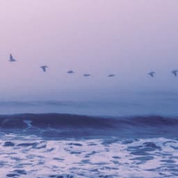 1 Ambient: Fleeting Dreams - Lofi Chill