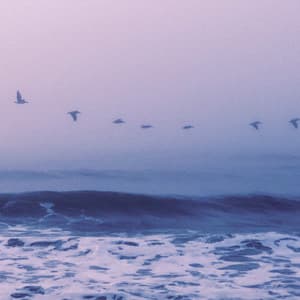 1 Ambient: Fleeting Dreams - Lofi Chill